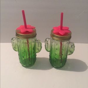 Glass Cactus Water Bottles 13.5 fl oz